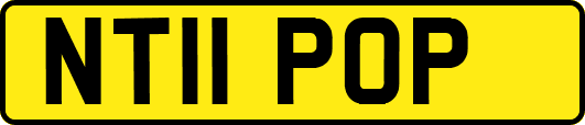 NT11POP