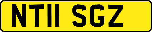 NT11SGZ