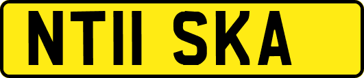 NT11SKA