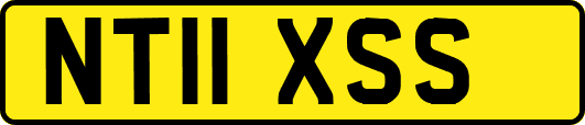 NT11XSS