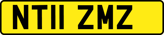 NT11ZMZ