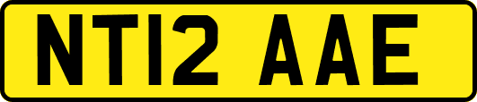 NT12AAE