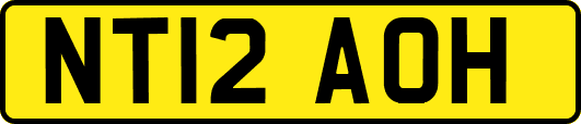 NT12AOH