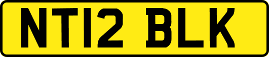 NT12BLK