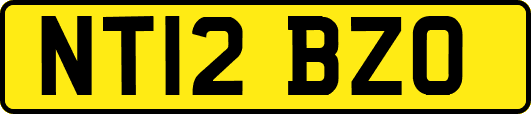 NT12BZO