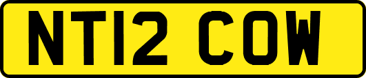 NT12COW