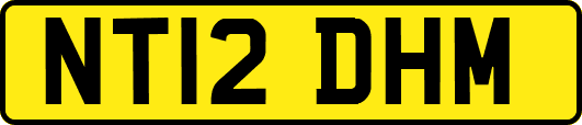 NT12DHM