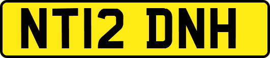NT12DNH