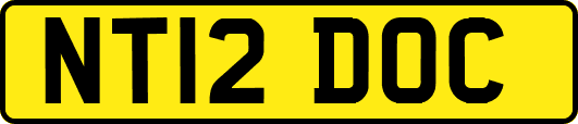 NT12DOC