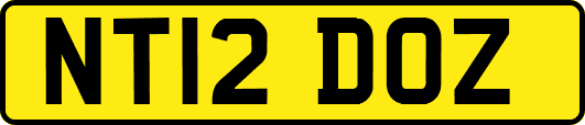NT12DOZ
