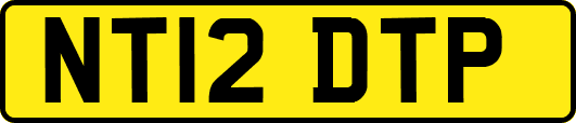 NT12DTP