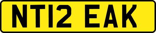 NT12EAK