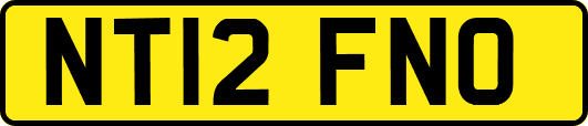 NT12FNO
