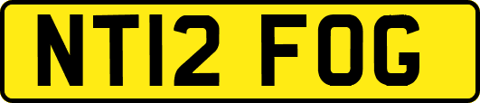 NT12FOG