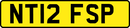 NT12FSP
