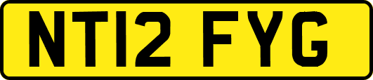 NT12FYG