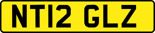 NT12GLZ