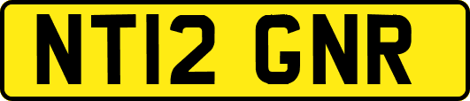 NT12GNR