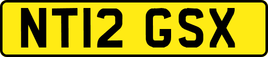 NT12GSX