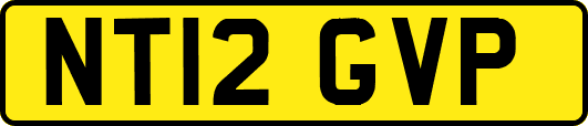 NT12GVP