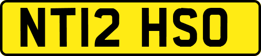 NT12HSO