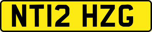 NT12HZG