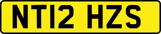 NT12HZS