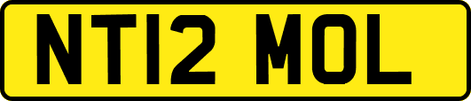 NT12MOL