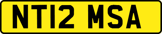 NT12MSA