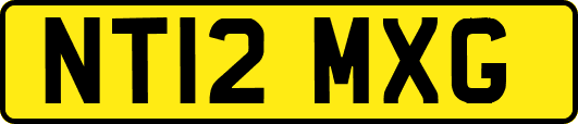 NT12MXG