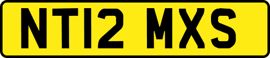 NT12MXS