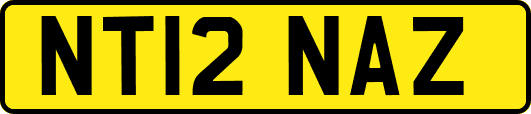 NT12NAZ