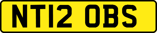 NT12OBS