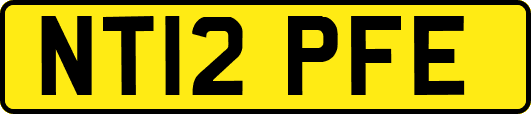 NT12PFE