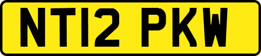 NT12PKW