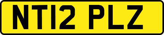 NT12PLZ