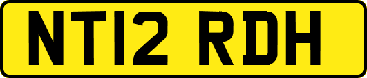 NT12RDH