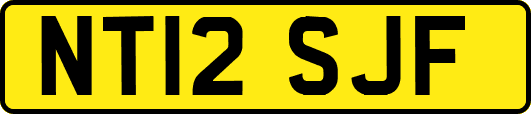 NT12SJF