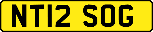 NT12SOG