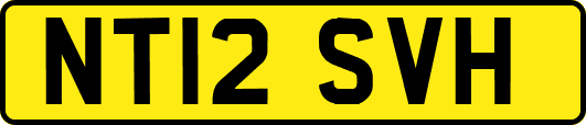 NT12SVH