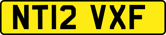 NT12VXF