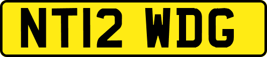 NT12WDG