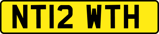 NT12WTH