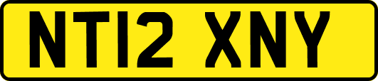 NT12XNY