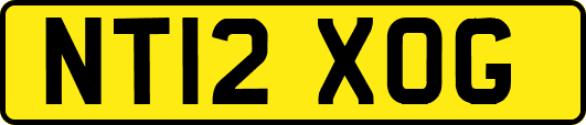 NT12XOG