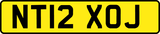 NT12XOJ