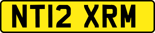 NT12XRM