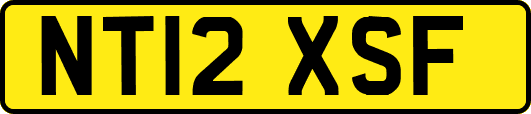 NT12XSF