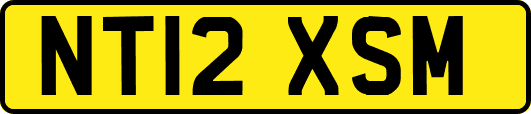 NT12XSM