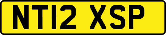 NT12XSP
